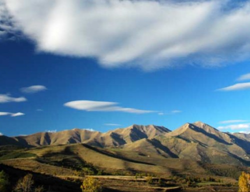 Curabitur Malesuada Lorem